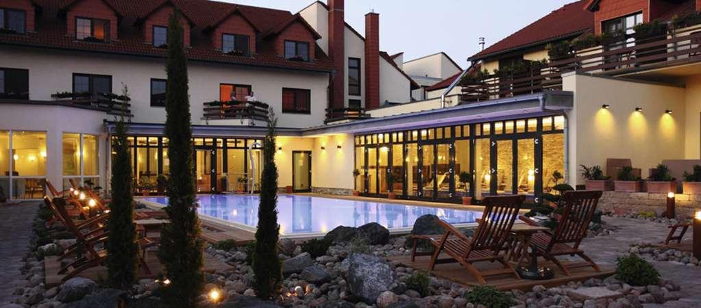 Ringhotel Hotel Zum Stein Oranienbaum-Woerlitz Udogodnienia zdjęcie