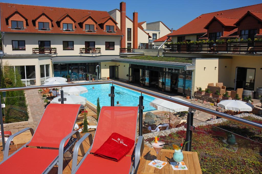 Ringhotel Hotel Zum Stein Oranienbaum-Woerlitz Zewnętrze zdjęcie